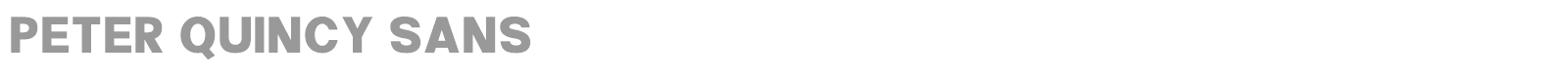 Peter Quincy Sans font preview